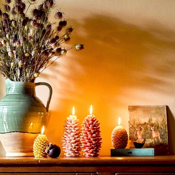 Pinecone Candle - Picture 1 of 5